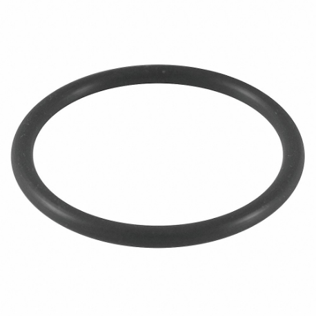 CHEMGLASS CG-309-210 O-Ring | CQ8QWZ 21UE02