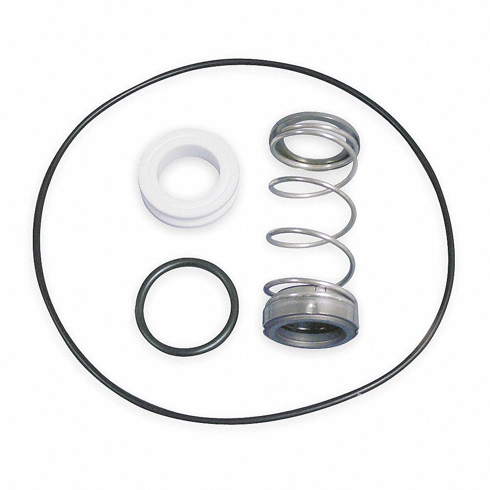 DAYTON 2WV89 Shaft Seal Kit | CJ3HPT