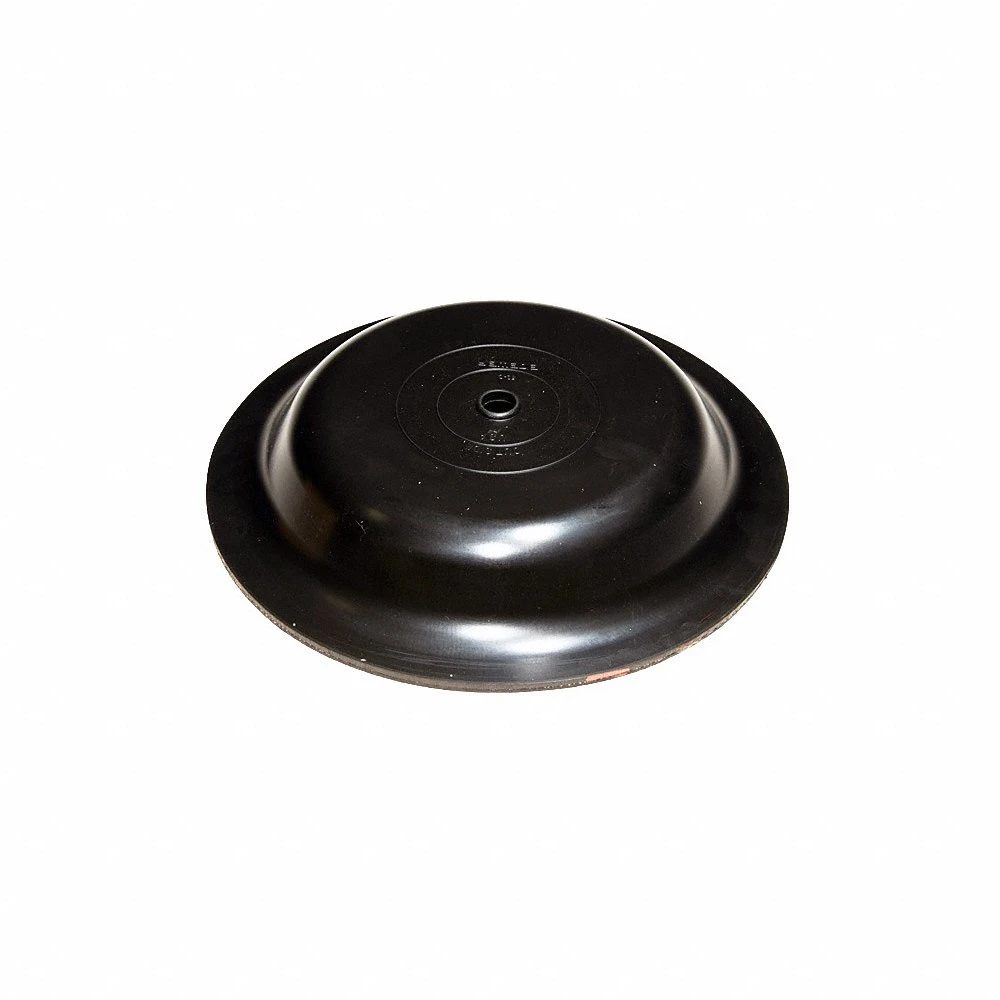 DAYTON 771702 Diaphragm | CH9ZWM 25VC42