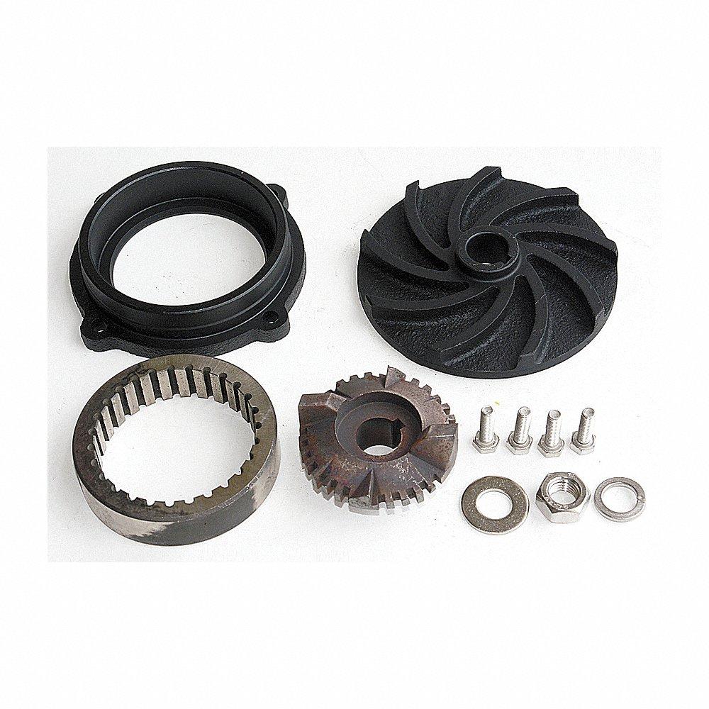DAYTON PPHP51000221G Pump Repair Kit | CJ3CEF 21YP66