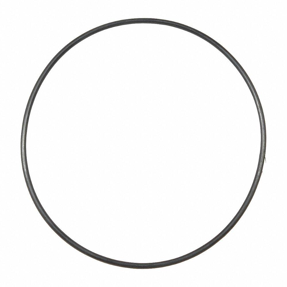 DAYTON PPL3426G O Ring, Casing | CJ2ZAW 23AV41