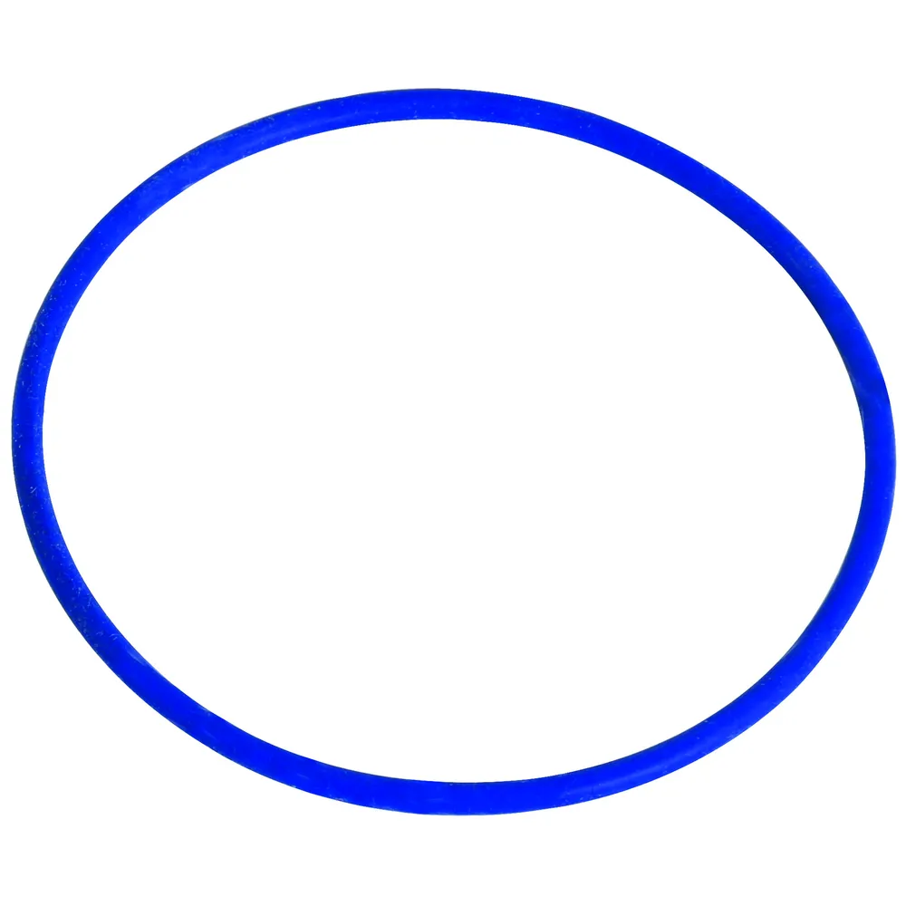 DEHN 759798 Sealing Ring For Indicator | CL7PBT