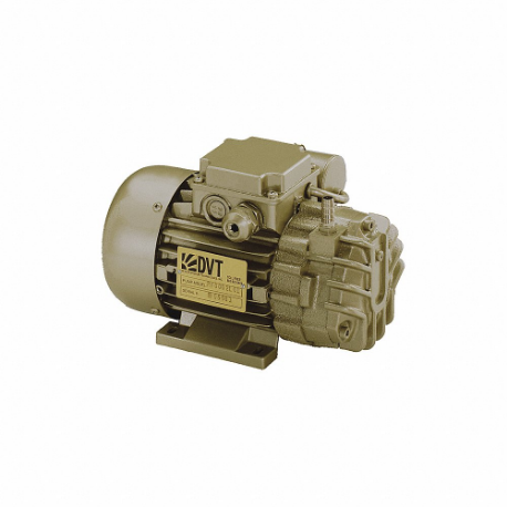 DEKKER VACUUM TECHNOLOGIES, INC. RVD002L-110V/1Ph/60Hz