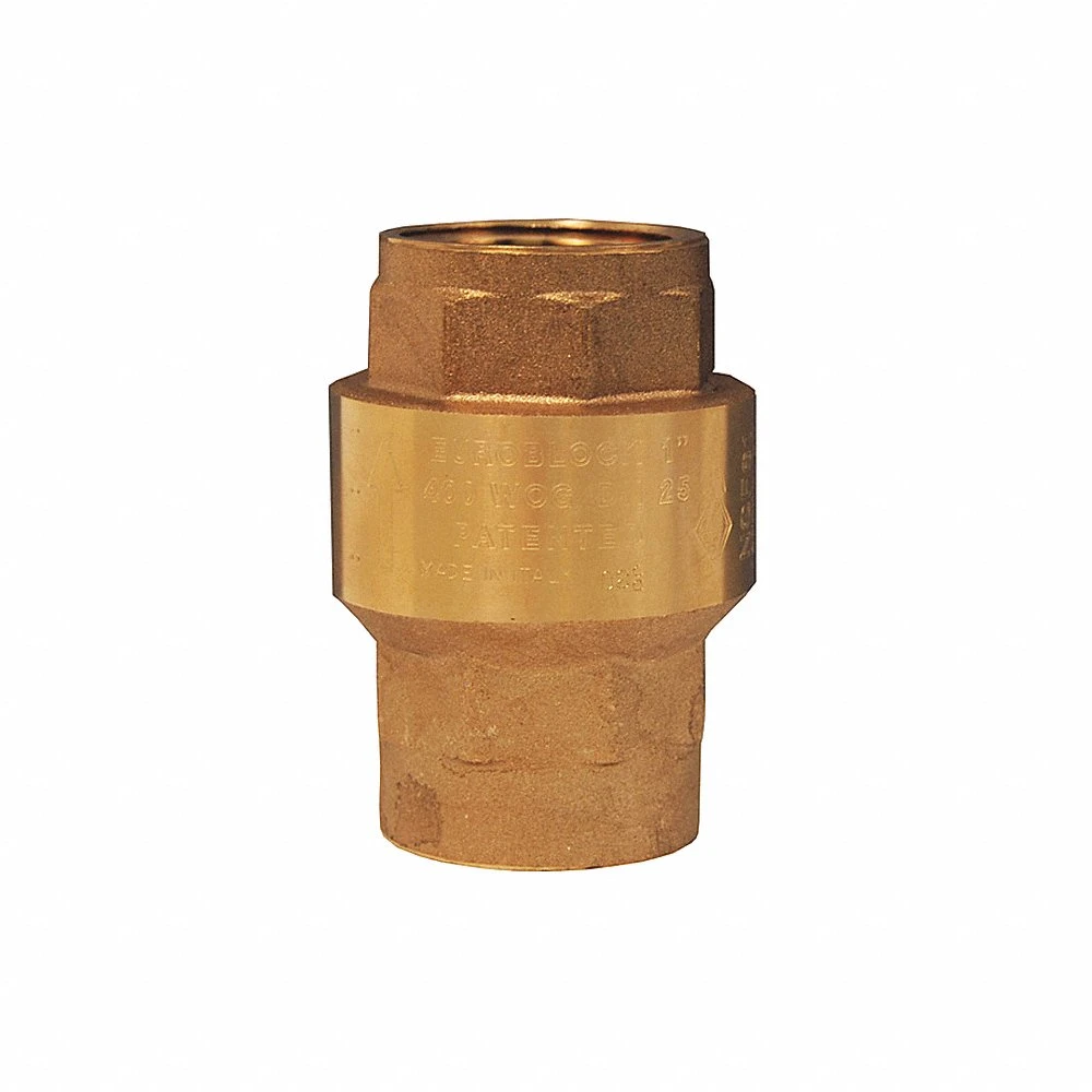 DIXON CV050 Check Valve, 1/2 Inch FNPT, Spring Loaded, Brass | AL8DWZ