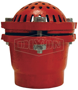 DIXON DFVS20 Threaded Foot Valve, Cast Iron, Painted Cast Iron, 1-1/2 Inch Size, NPT Thread | AK3VUY