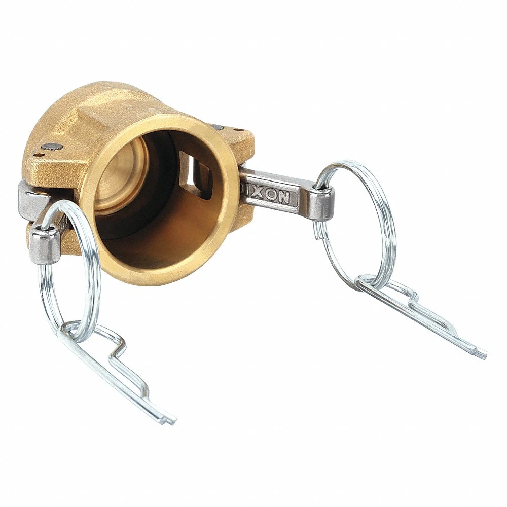 DIXON G100-DC-BR Dust Cap 1 Inch 250 Psi Female Coupler | AE3CUV 5CGD1