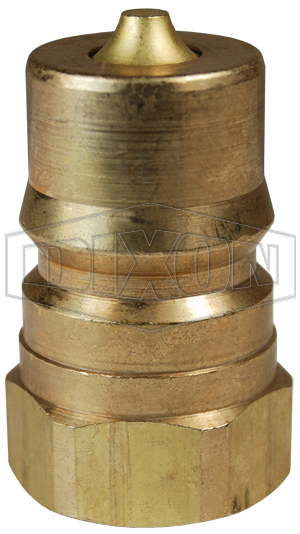 DIXON H2F2-B ISO-B Plug, NPTF Thread, 1/4 Inch Thread, Brass | BX6HPT
