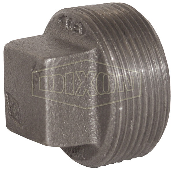 DIXON SHP600 Square Head Plug, NPT Thread | BX7TLR
