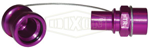DIXON TR-C Transmission Receiver, Violet, With Cap, 3/8 Inch FNPT | BX7WNQ