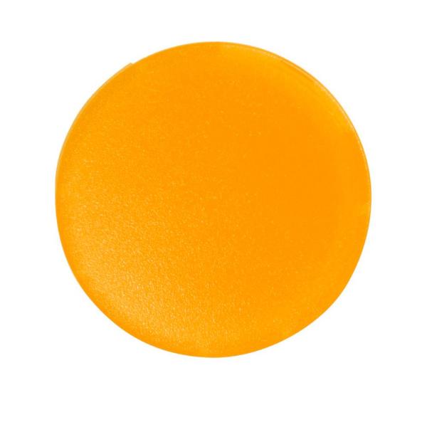 EATON M22-XDL-Y-ETCH Pushbutton, Button Lens, Flush, Yellow, Ip67, Ip69K, Nema 4X, 21, Custom | BH4VFC