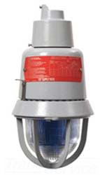 EDWARDS SIGNALING 116DEXMSINHA-GW