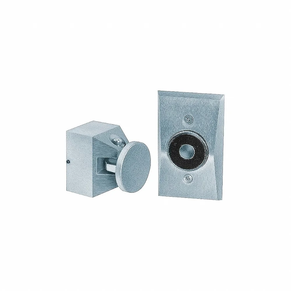 EDWARDS SIGNALING 1504-AQN5 Door Holder, Flush Wall Mount, 24/120V, 0.015A Rating | AC2HGD 2KFN9