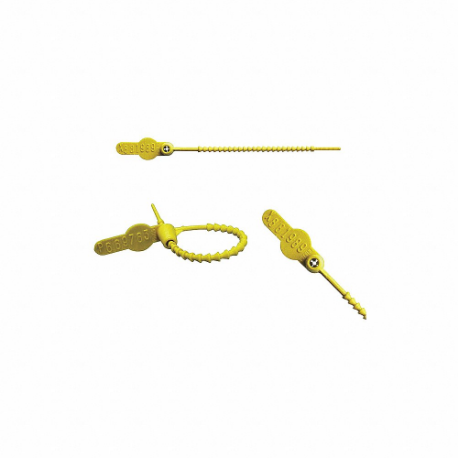 ELC SECURITY PRODUCTS 065N14PPYL