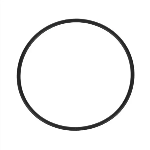 EVERPURE EV307119 EVERPURE EV307119 | CW6LUW