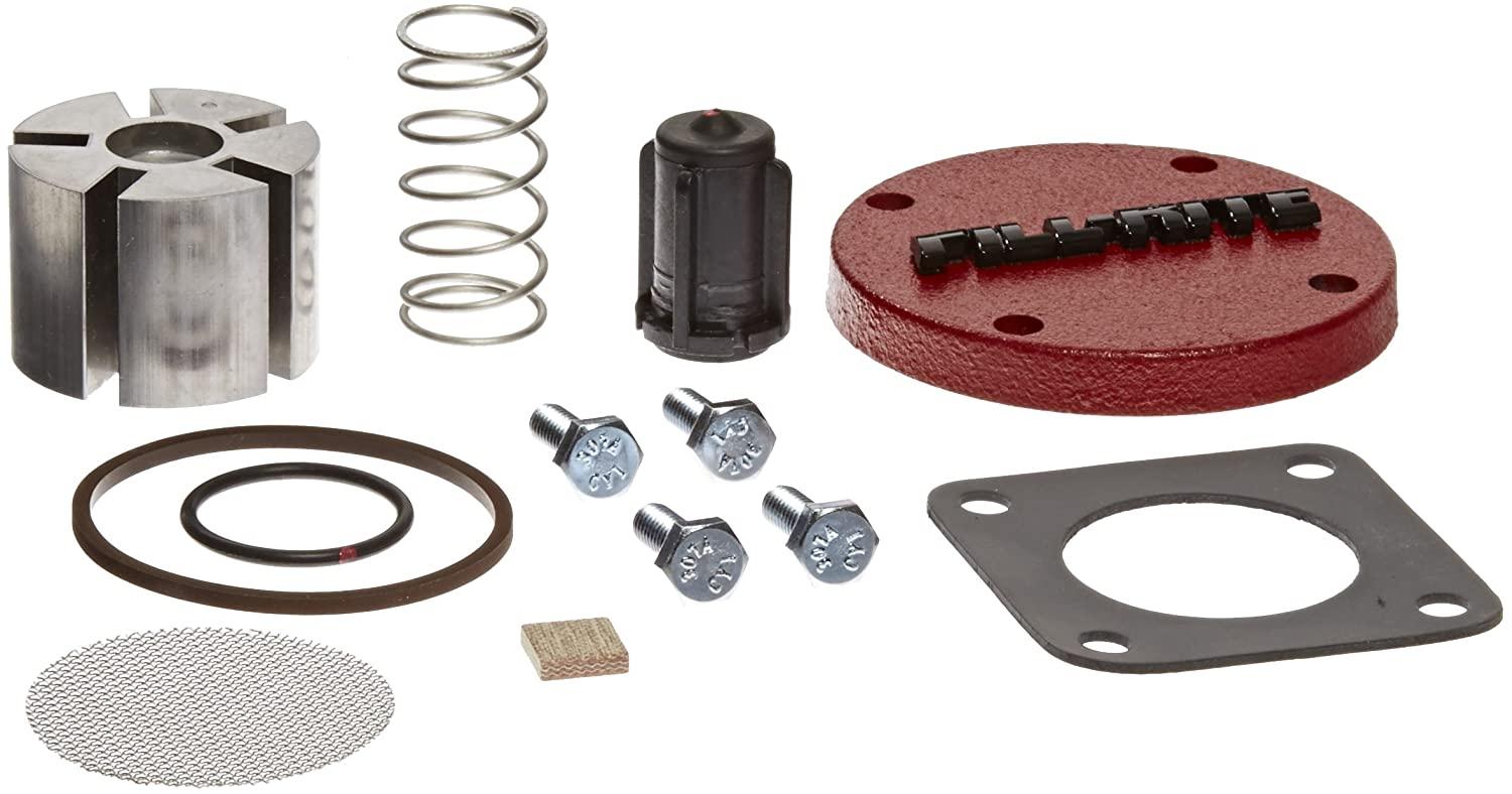 FILLRITE BD4200KTH0710 Biodiesel Repair Kit | AG9DTE 19NJ98