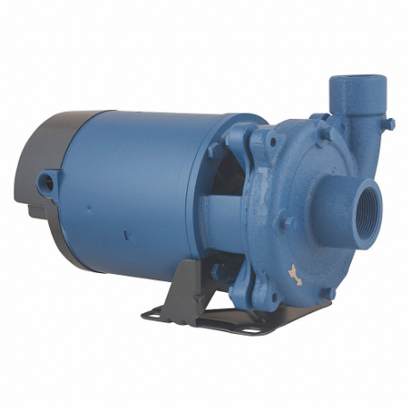 FLINT & WALLING Straight Centrifugal Pumps