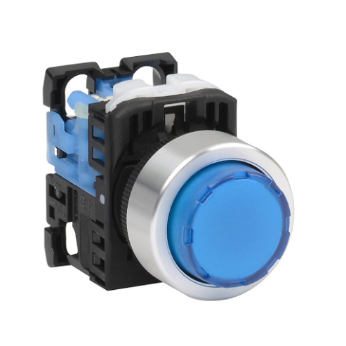 Pushbutton, 22mm, Momentary, LED Illuminated, 1 N.O. Contact, Plastic Base, Metal Bezel