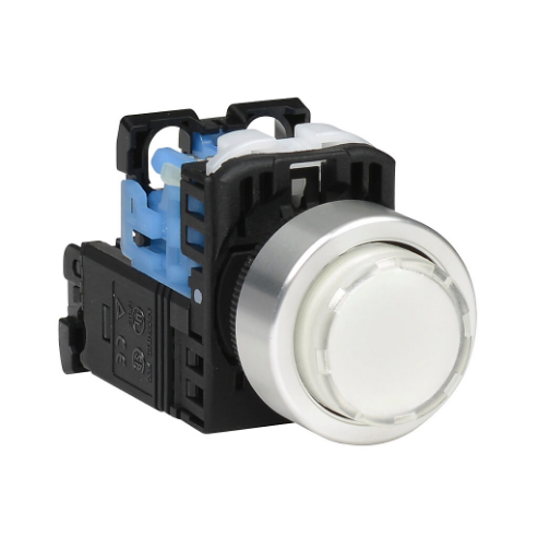 Pushbutton, 22mm, Momentary, LED Illuminated, 1 N.O. Contact, Plastic Base, Metal Bezel
