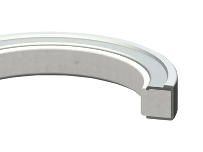 GARLOCK SEALING TECHNOLOGIES 21005-2710