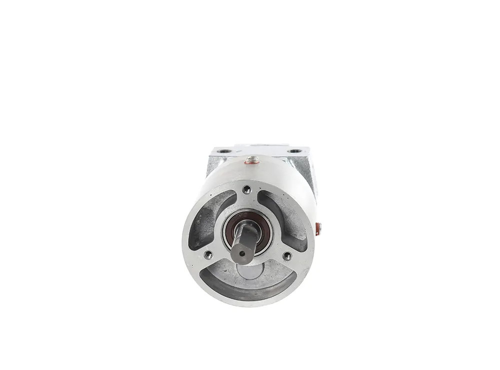 GAST 1UP-NRV-11-GR11