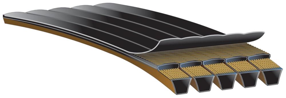 GATES 91828200 Special Belt, 200 Inch Length, 9 Inch Width, 0.968 Inch Thickness | AM8TKD