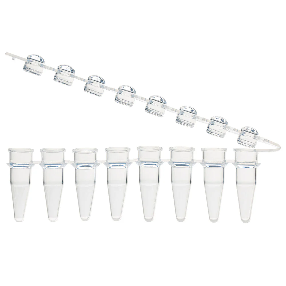 GLOBE SCIENTIFIC PCR-STR-02D-ZIP