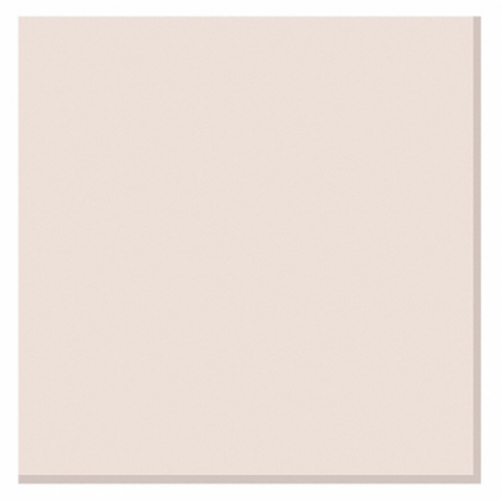 GRAINGER 506017-1 Plastic Sheet, 0.0625 Inch Plastic Thick, 12 Inch W x 12 Inch L, White, 6 | CQ3YKJ 44ZR81