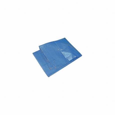 Tarp, 20 x 30 ft Cut Size, 20 x 30 ft Finished Size, 10 mil Thick, Blue