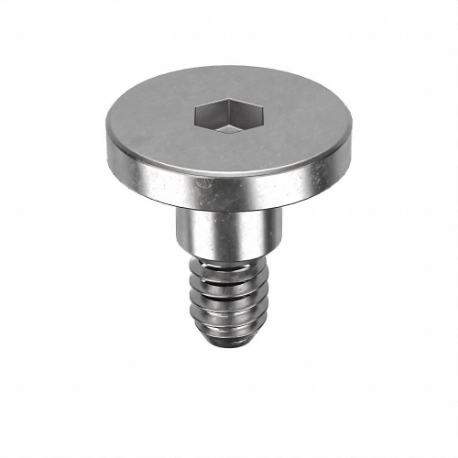 GRAINGER Z1902 Binding Screw, #10-24 Thread Size, 1/4 Inch Brl Dia, 316 Stainless Steel, Plain | CP7PRM 45GF24