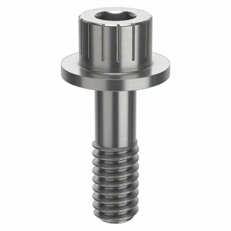 GRAINGER ZPS44014C06 Socket Head Cap Screw, 1/4-20 Thread Size, 13/16 Inch Size Length, Plain, Stainless Steel | CQ4WCK 45FR55