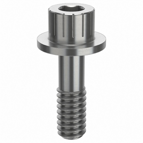 GRAINGER ZPS60114C06 Socket Head Cap Screw, 1/4-20 Thread Size, 13/16 Inch Size Length, Plain, Stainless Steel | CQ4WCL 45FV43