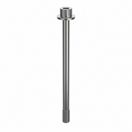 GRAINGER ZPS60214C50 Socket Head Cap Screw, 1/4-20 Thread Size, 3 9/16 Inch Size Length, Plain, Stainless Steel | CQ4WFD 45FX53