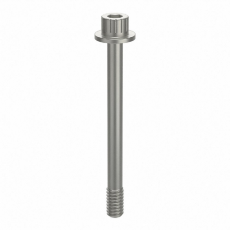 GRAINGER ZPS72014C40 Socket Head Cap Screw, 1/4-20 Thread Size, 2 11/16 Inch Size Length, Plain, Aluminum | CQ4WCX 45FZ40