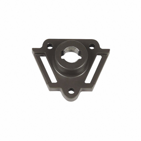 Tree Mount Canopy, Low Volt Landscape Lighting