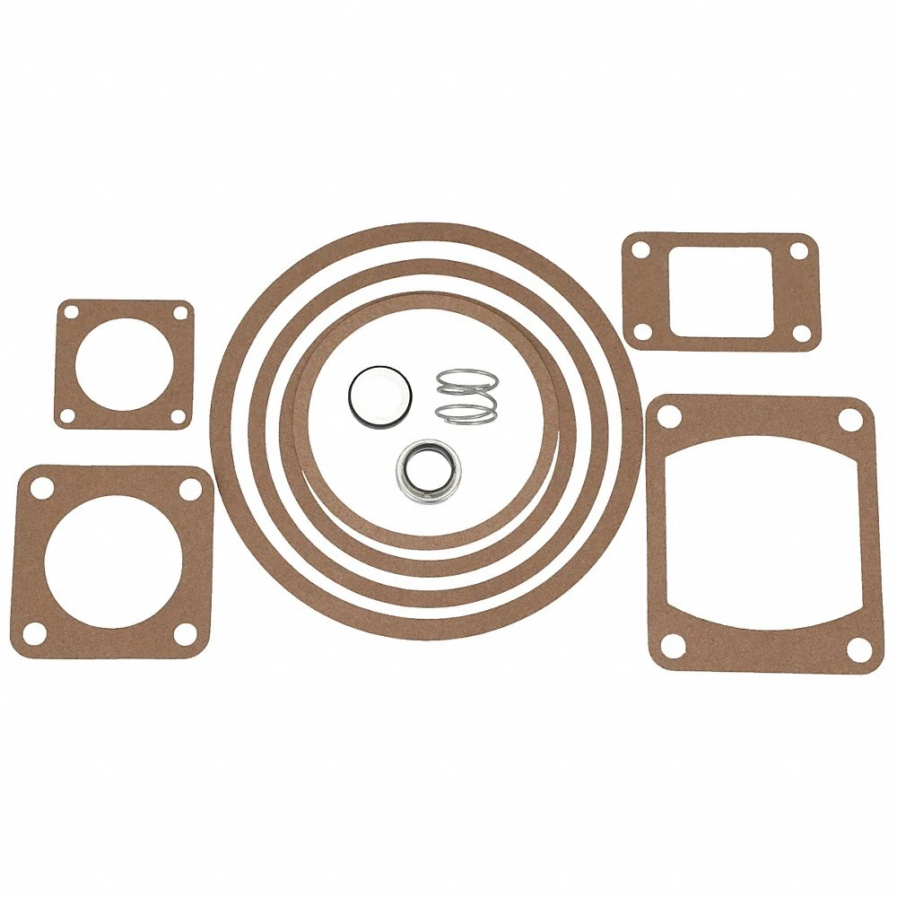 Seal Kit, For Condensate Return & Boiler Feed Pumps