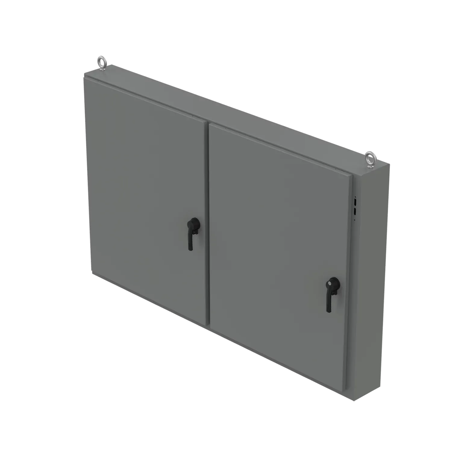 HOFFMAN A48X2E7808 Disconnect Enclosure, Low Profile, Type 12, 48 x 78.50 x 8 Inch Size | CH8CBK