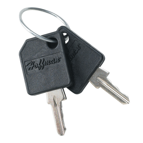 HOFFMAN E333KEY Replacement Key, Steel | CH8JCN