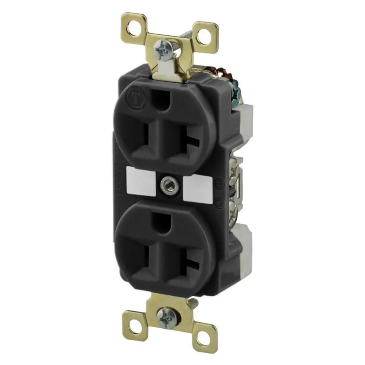 GRAINGER BRY5362BLK Receptacle, Duplex, 5-20R, 125V AC, 20 A, 2 Poles, Black, Screw Terminals, Std Protection | CQ2GBF 52HD19