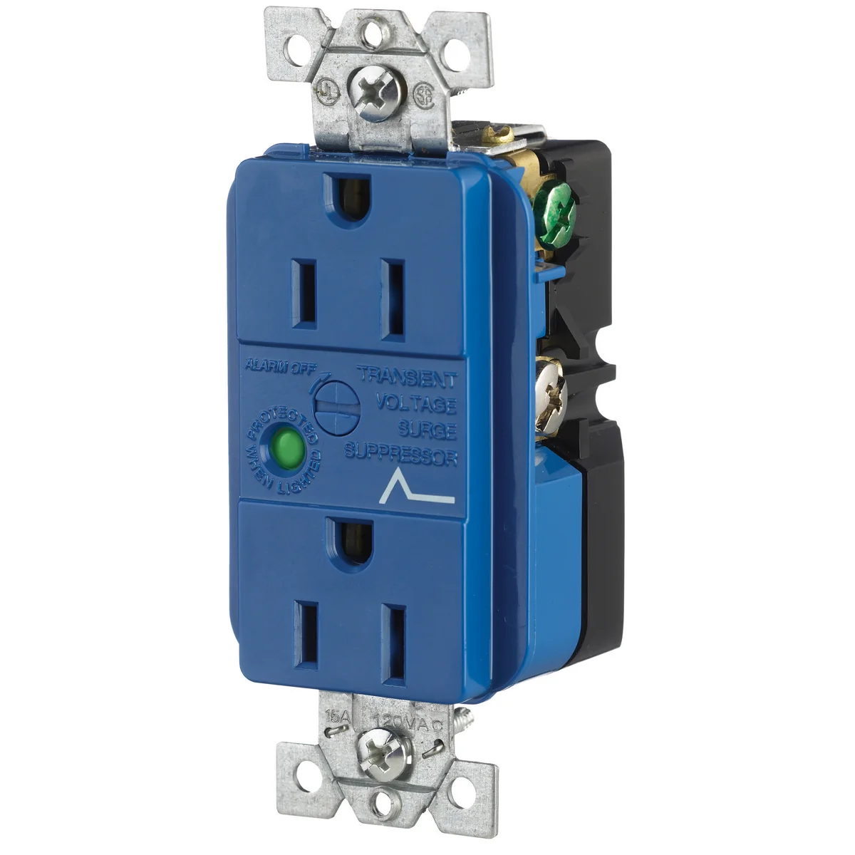 GRAINGER SP52A Receptacle, Duplex, 5-15R, 15 A, 125V AC, Blue, 2 Poles, Screw Terminals, Std Resist | CP8XUW 49YZ33