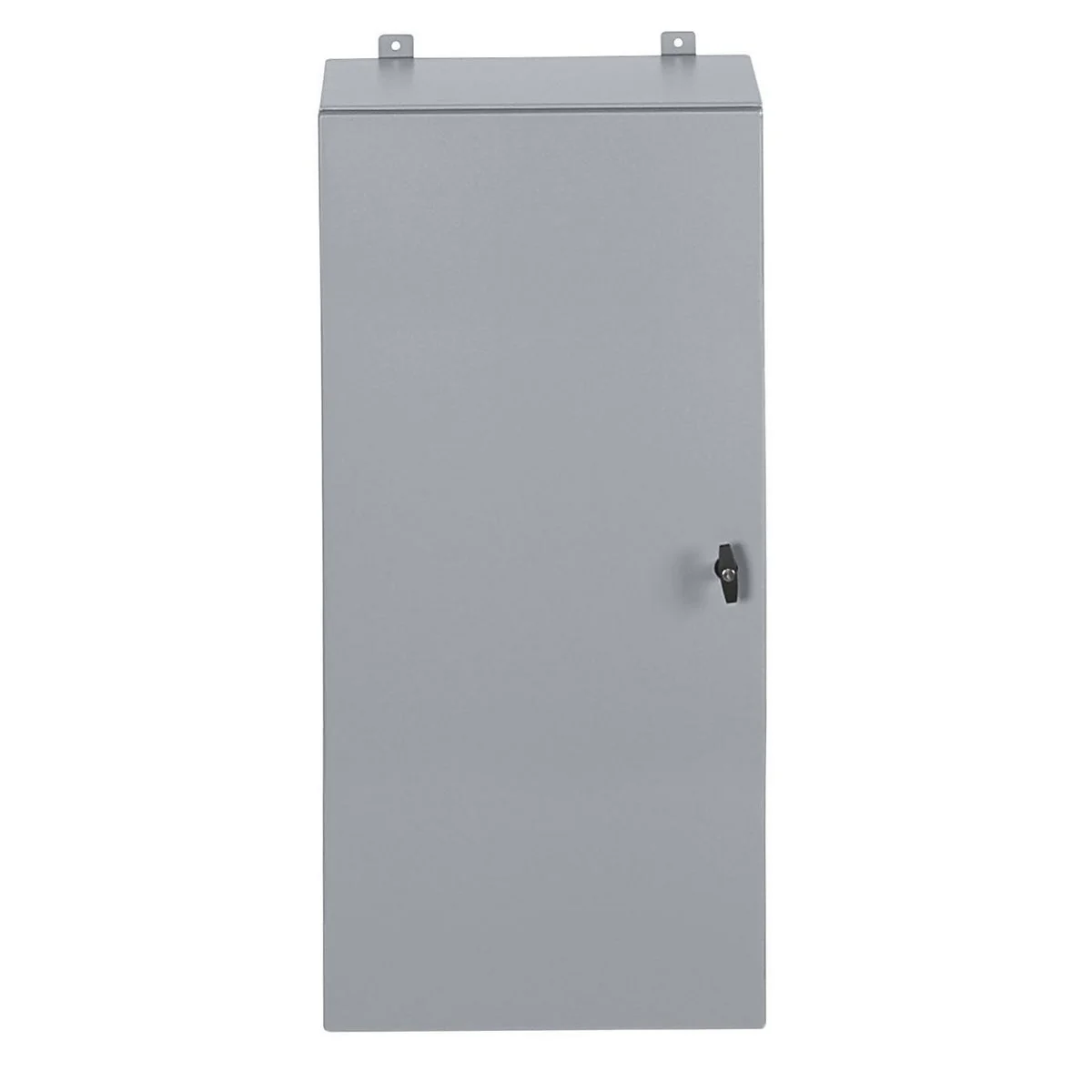 Wall Mount Cabinet, 48H x 24 W x 12D, NEMA 4/12, Gray