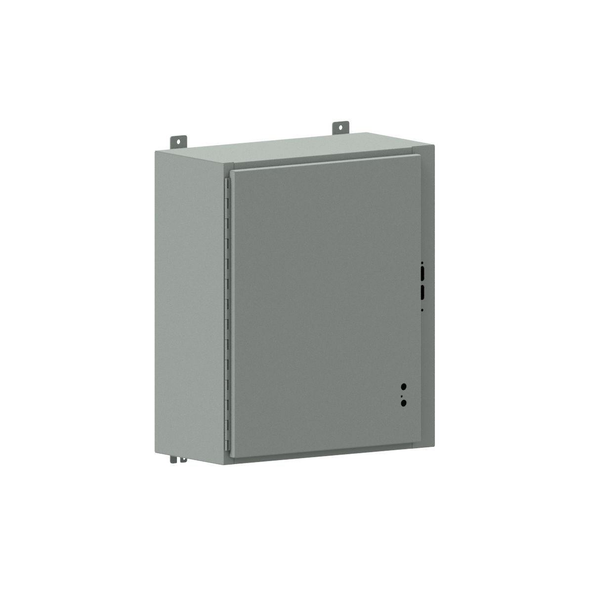 WIEGMANN SDN12242510 Disconnect Enclosure, 24 Inch Nominal Enclosure Ht, 60 Inch Nominal Enclosure Width | CV3PDB 1ZHN9