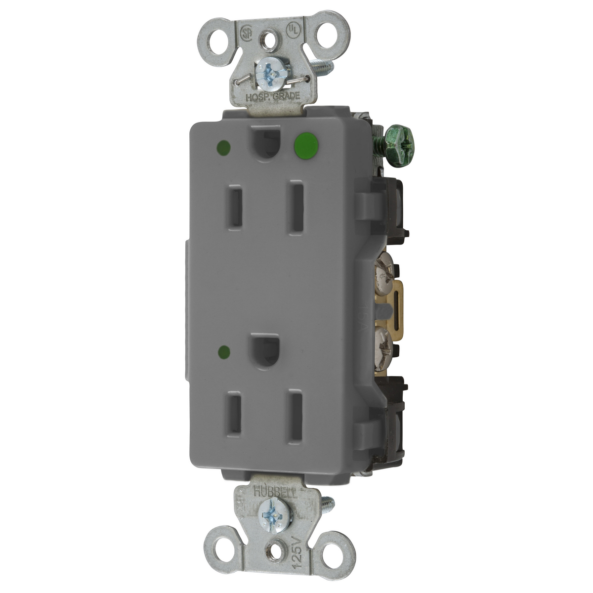 HUBBELL WIRING DEVICE-KELLEMS 2172GYL Decorator Duplex Receptacle, Led Indicator, 15A, 125V, 2-Pole, Gray | BD3UGA