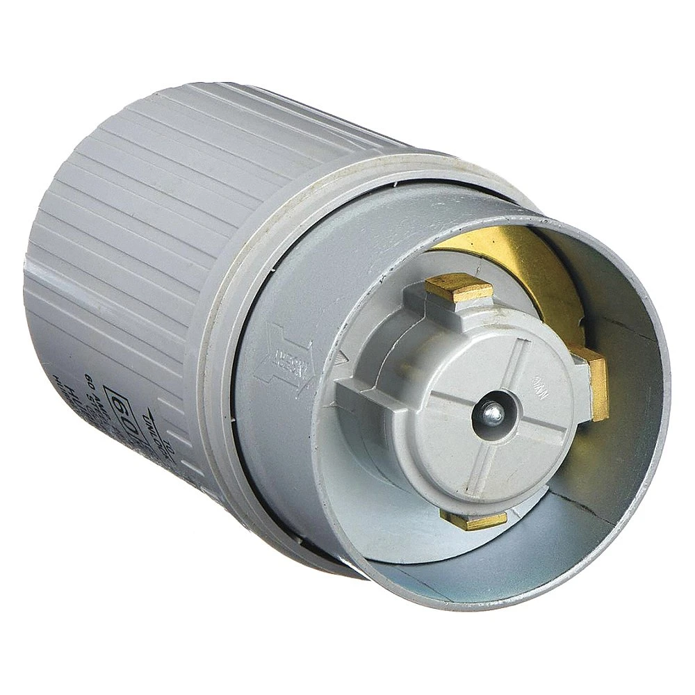 HUBBELL WIRING DEVICE-KELLEMS HBL25625 Male Plug, 60A 250V, 2-P 3-W Grounding, Non Nema, Screwterminal, Gray | AF7LFE 21VL01