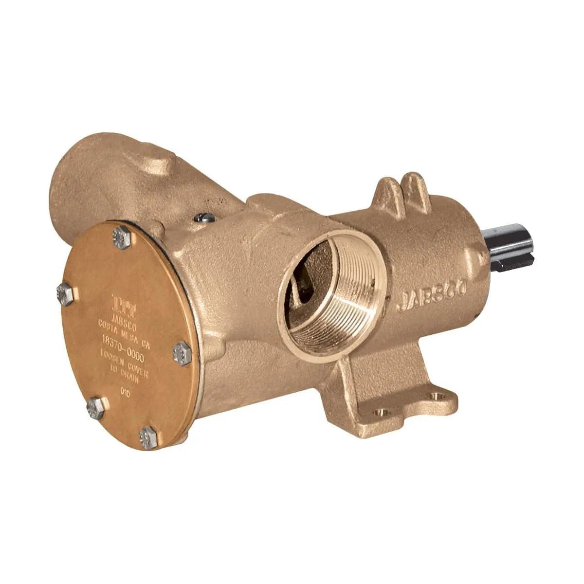 Bronze Pedestal Flexible Impeller Pedestal Pump, Bronze, with a Neoprene Impeller