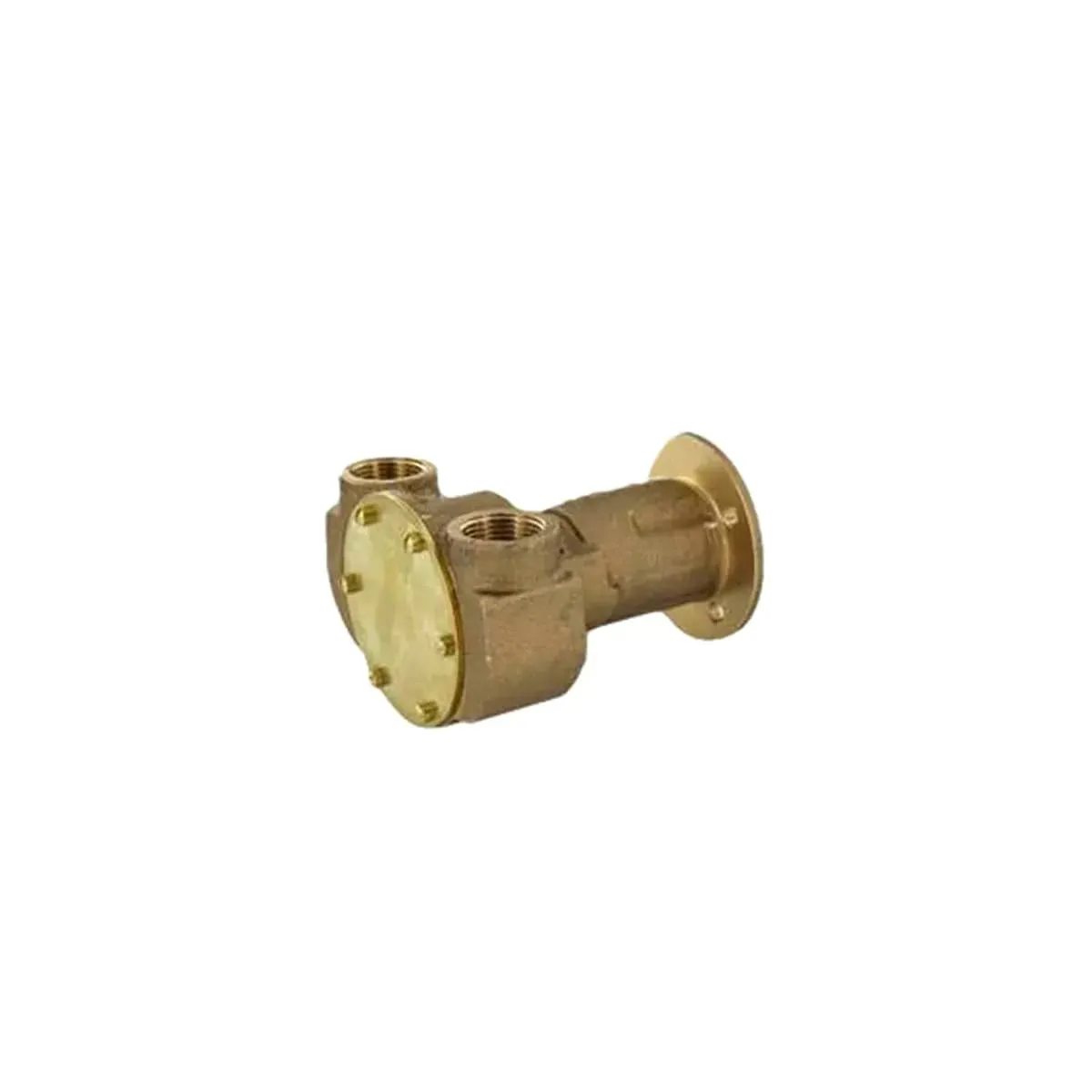 Marine Engine Cooling Pump, Bronze, with a Neoprene Impeller and Lip Type Seal