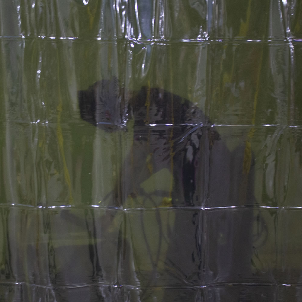 JACKSON SAFETY 36299