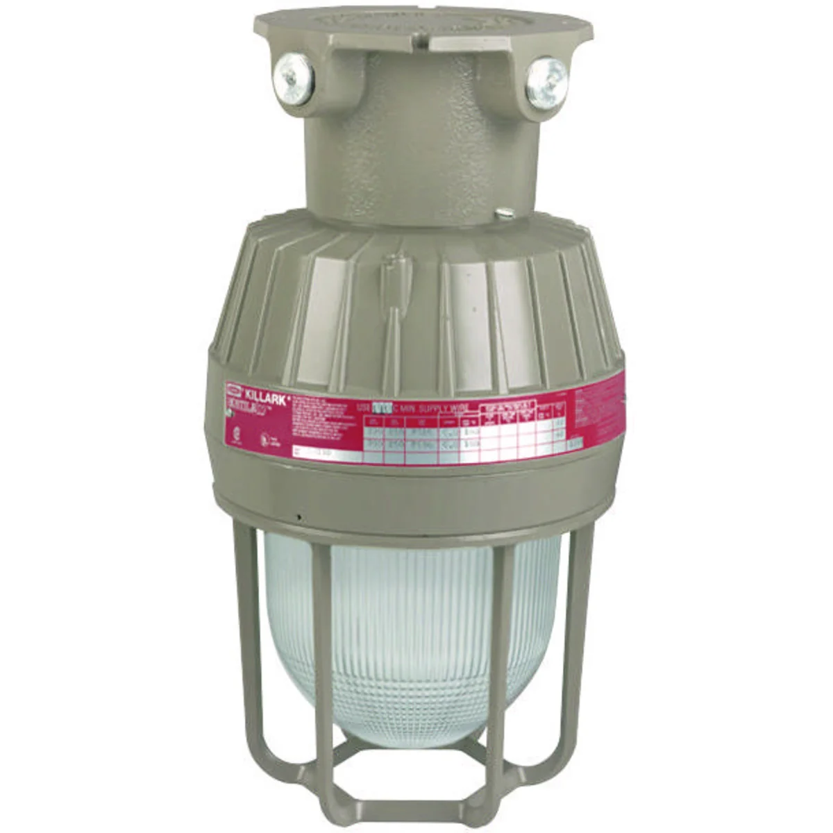 Light Fixture, 150 W Medium Base, 120-277 V, Hazardous Location