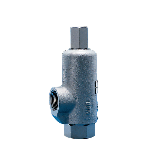 KUNKLE 171S-E02-MG Safety Releif Valve, 1 Inch Inlet x 1 Inch Outlet Size, Non Code Liquid | CN2ZJV 11322484