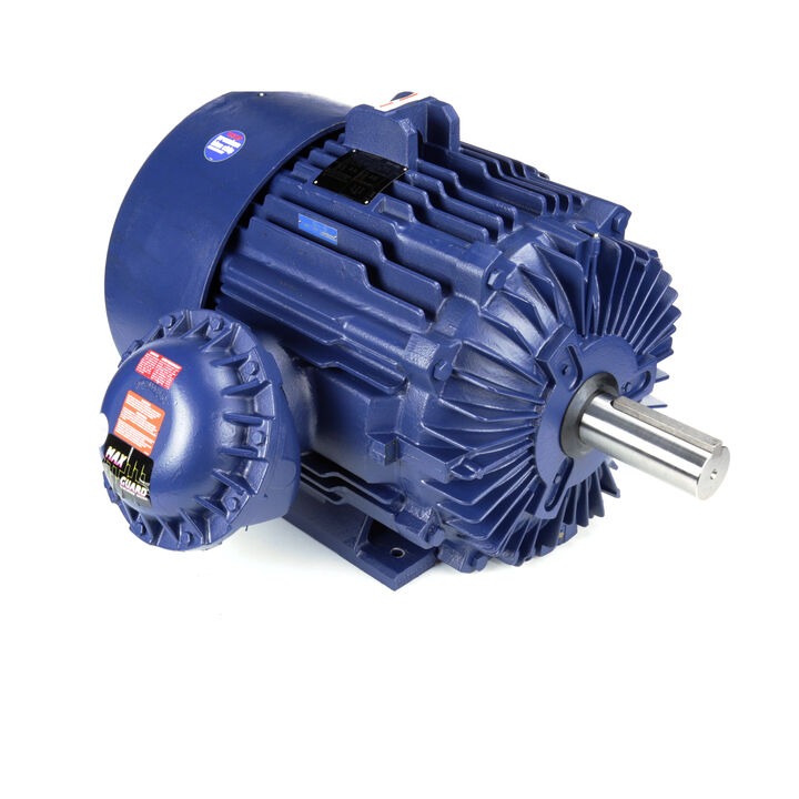 LEESON 170121.60 C326T17FB8D General Purpose Motor | AJ2TER C326T17FB8D