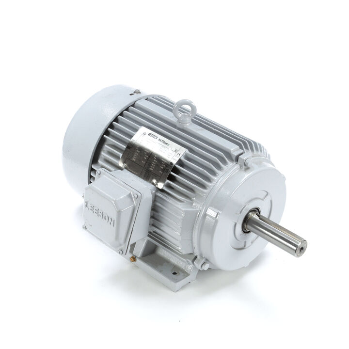 LEESON Farm Duty Motors